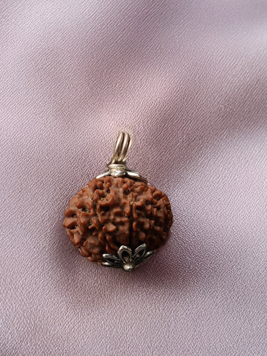10 Mukhi Nepali Rudraksha - Das Mukhi - Rudrajap