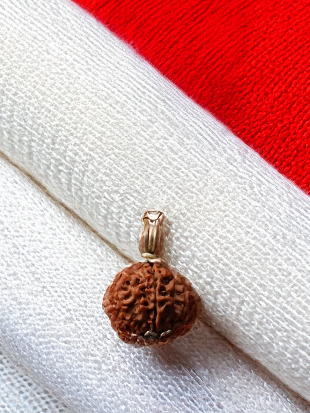 8 Mukhi Nepali Rudraksha - Aath Mukhi - Rudrajap