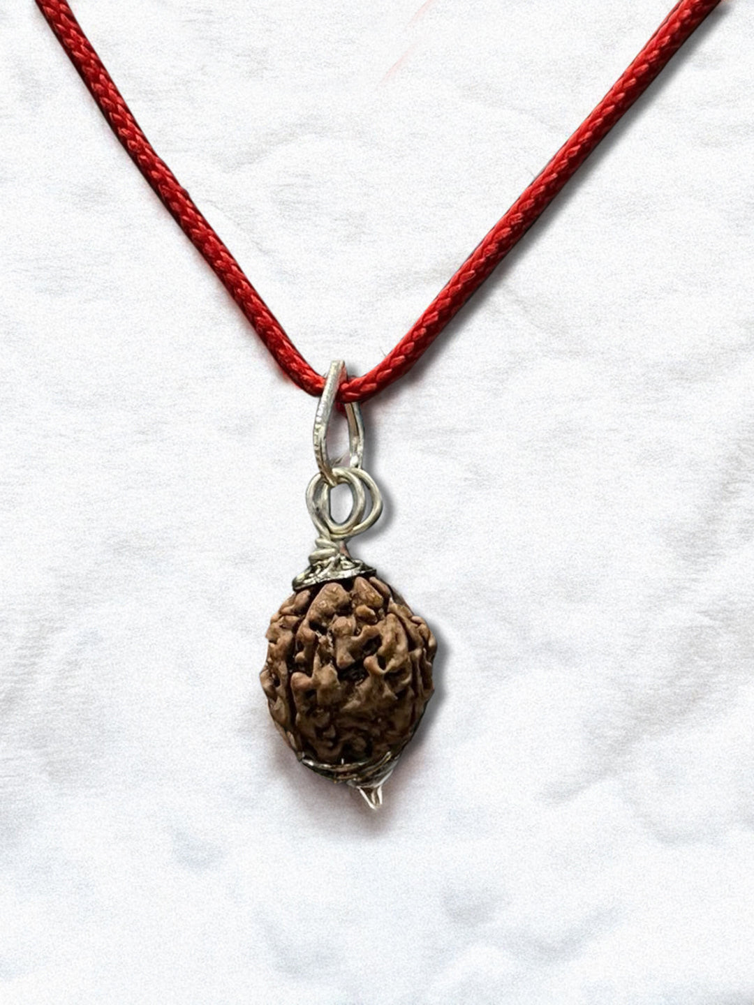 4 Mukhi Nepali Rudraksha - Chaar Mukhi - Rudrajap