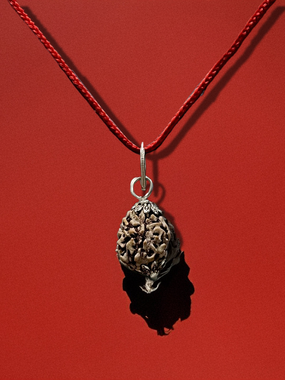 3 Mukhi Nepali Rudraksha - Teen Mukhi - Rudrajap