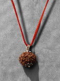 10 Mukhi Nepali Rudraksha - Das Mukhi - Rudrajap