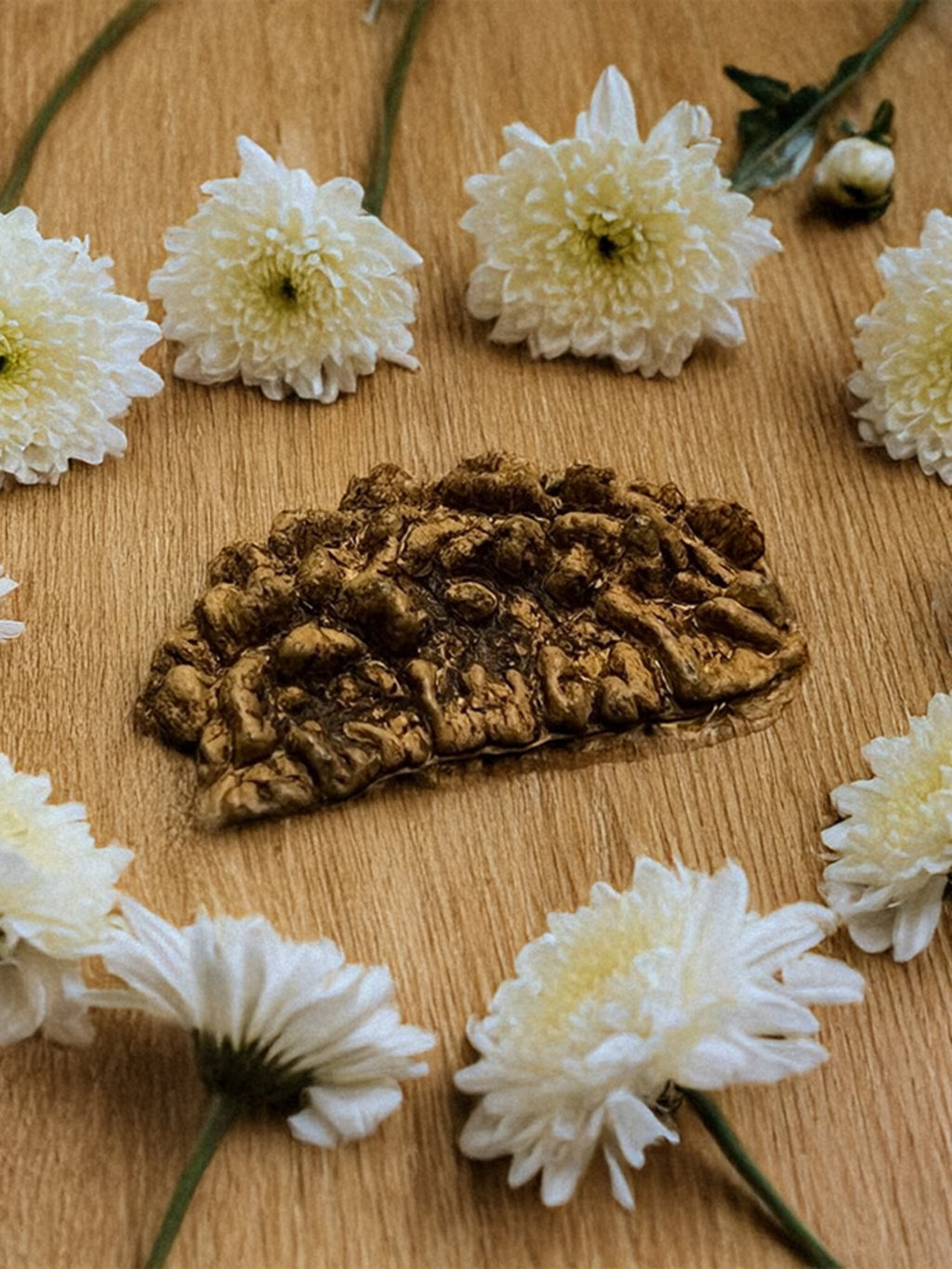 1 Mukhi Nepali Rudraksha - Ek Mukhi - Rudrajap