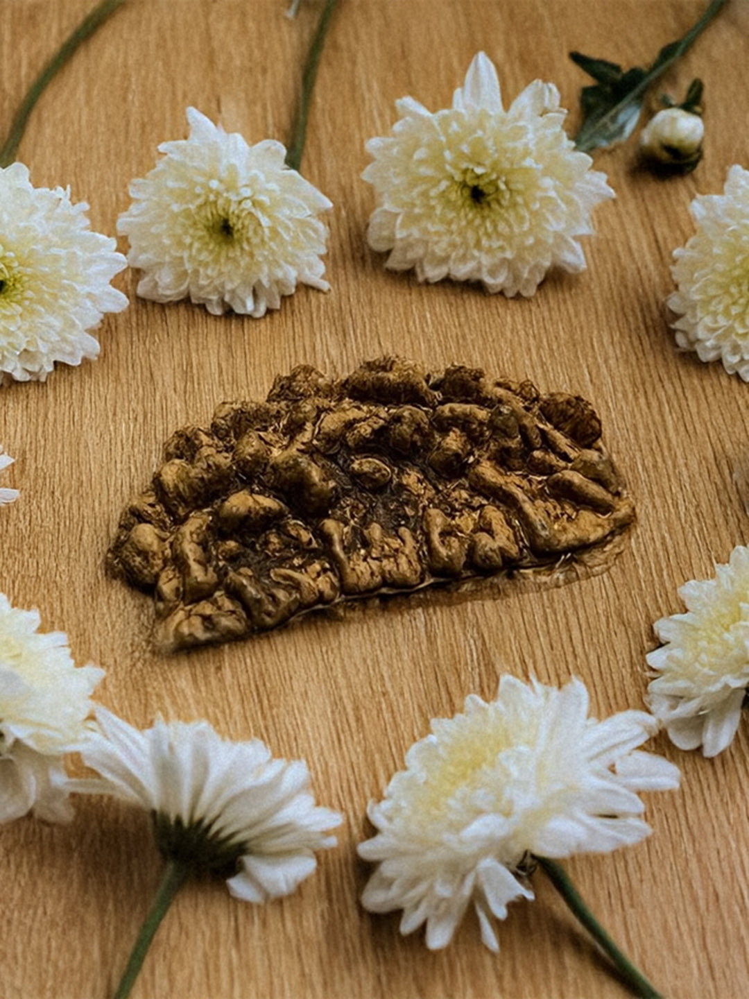 1 Mukhi Nepali Rudraksha - Ek Mukhi - Rudrajap
