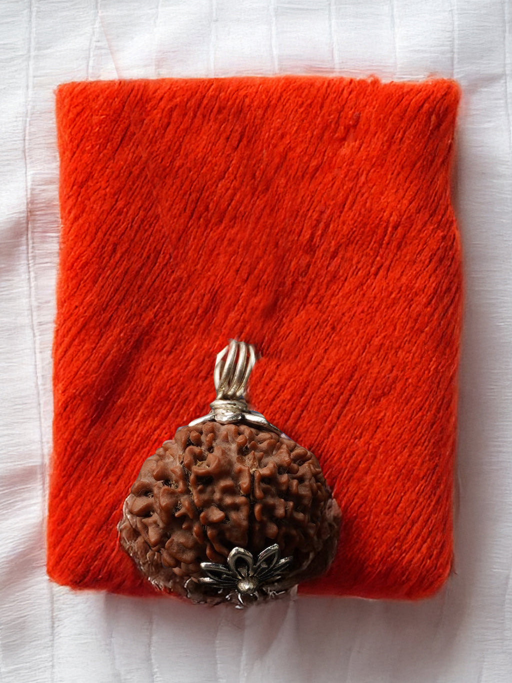 10 Mukhi Nepali Rudraksha - Das Mukhi - Rudrajap