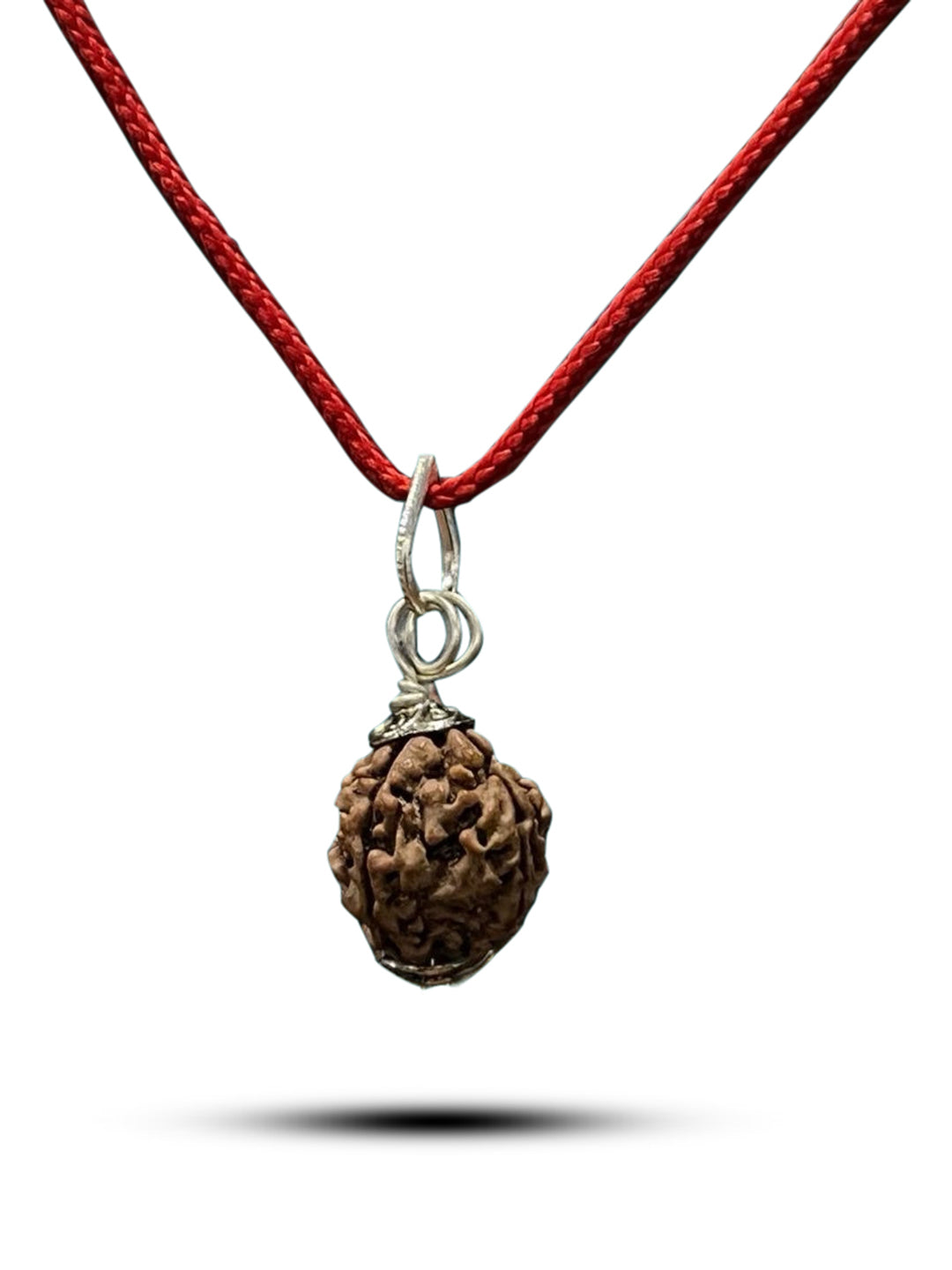 4 Mukhi Nepali Rudraksha - Chaar Mukhi - Rudrajap