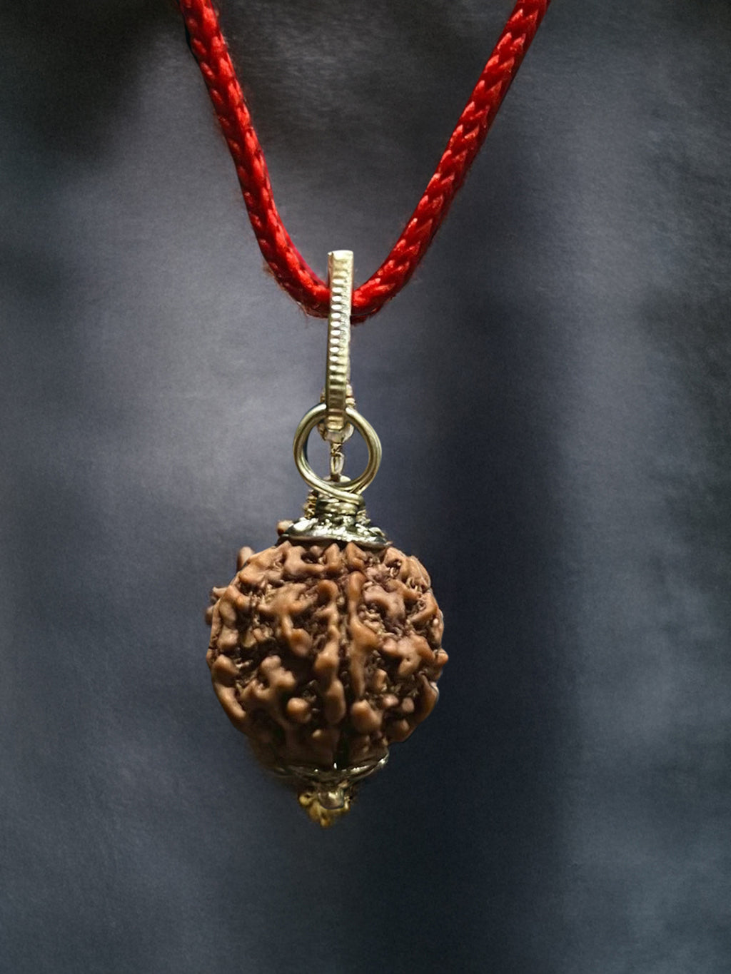 5 Mukhi Nepali Rudraksha - Paanch Mukhi - Rudrajap