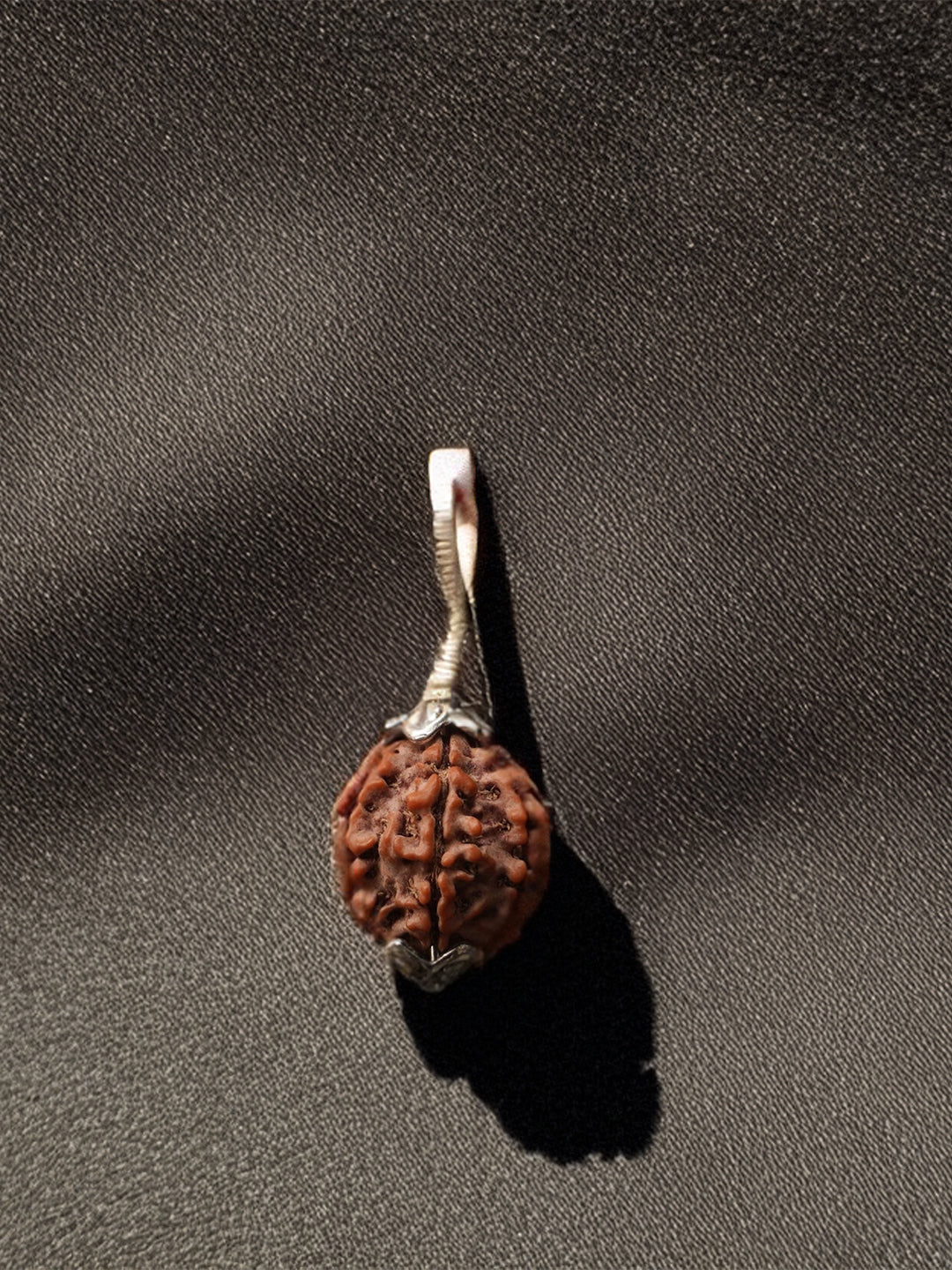 7 Mukhi Nepali Rudraksha - Saat Mukhi - Rudrajap