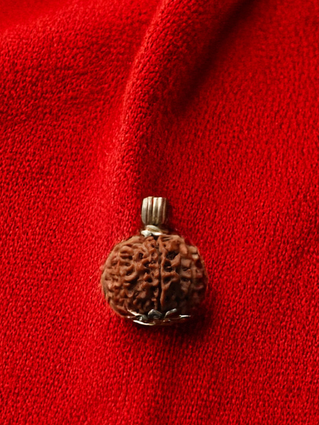 8 Mukhi Nepali Rudraksha - Aath Mukhi - Rudrajap