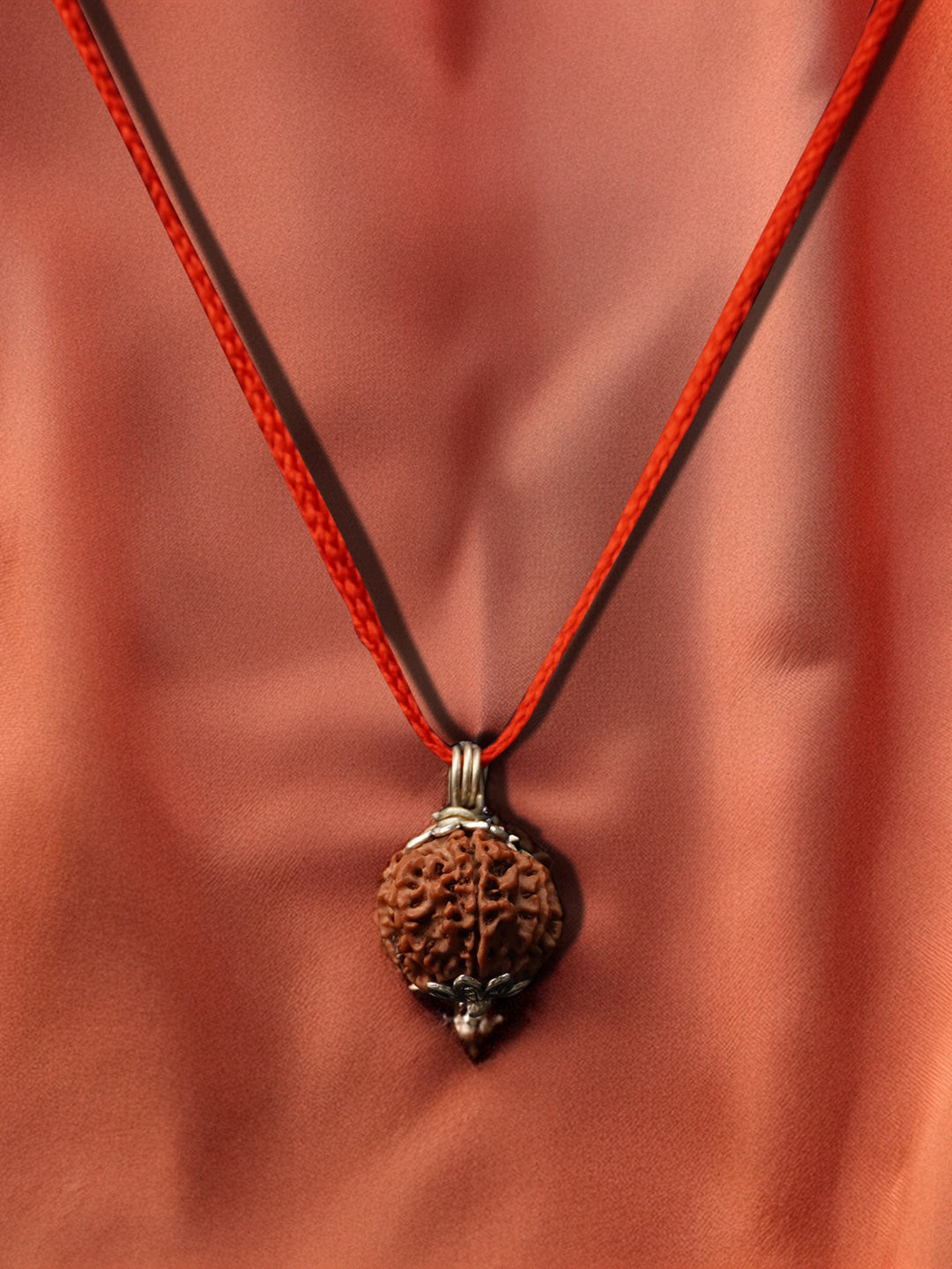 8 Mukhi Nepali Rudraksha - Aath Mukhi - Rudrajap