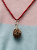 4 Mukhi Nepali Rudraksha - Chaar Mukhi - Rudrajap