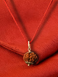 9 Mukhi Nepali Rudraksha - Nau Mukhi - Rudrajap
