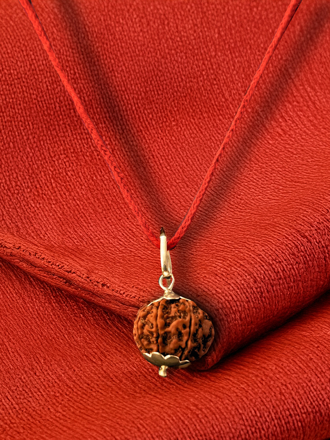 9 Mukhi Nepali Rudraksha - Nau Mukhi - Rudrajap