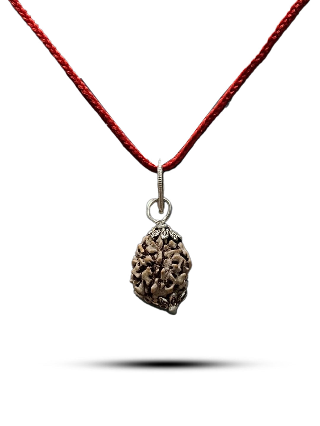 3 Mukhi Nepali Rudraksha - Teen Mukhi - Rudrajap