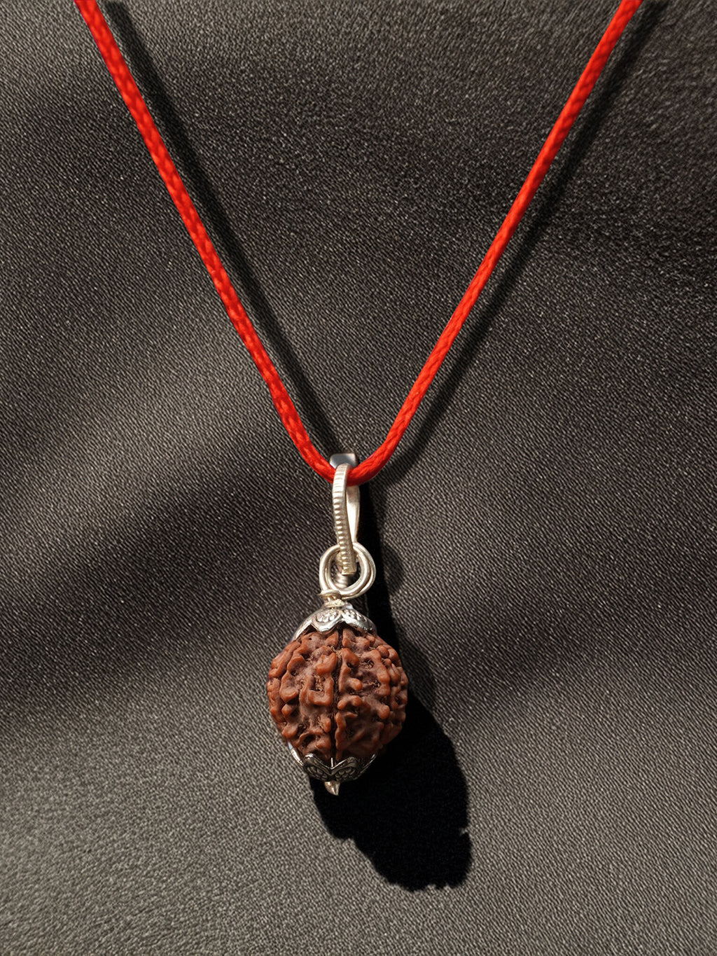 7 Mukhi Nepali Rudraksha - Saat Mukhi - Rudrajap