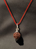 7 Mukhi Nepali Rudraksha - Saat Mukhi - Rudrajap