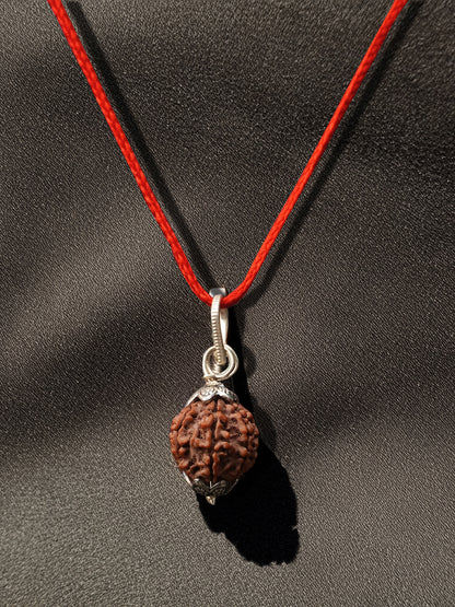 7 Mukhi Nepali Rudraksha - Saat Mukhi