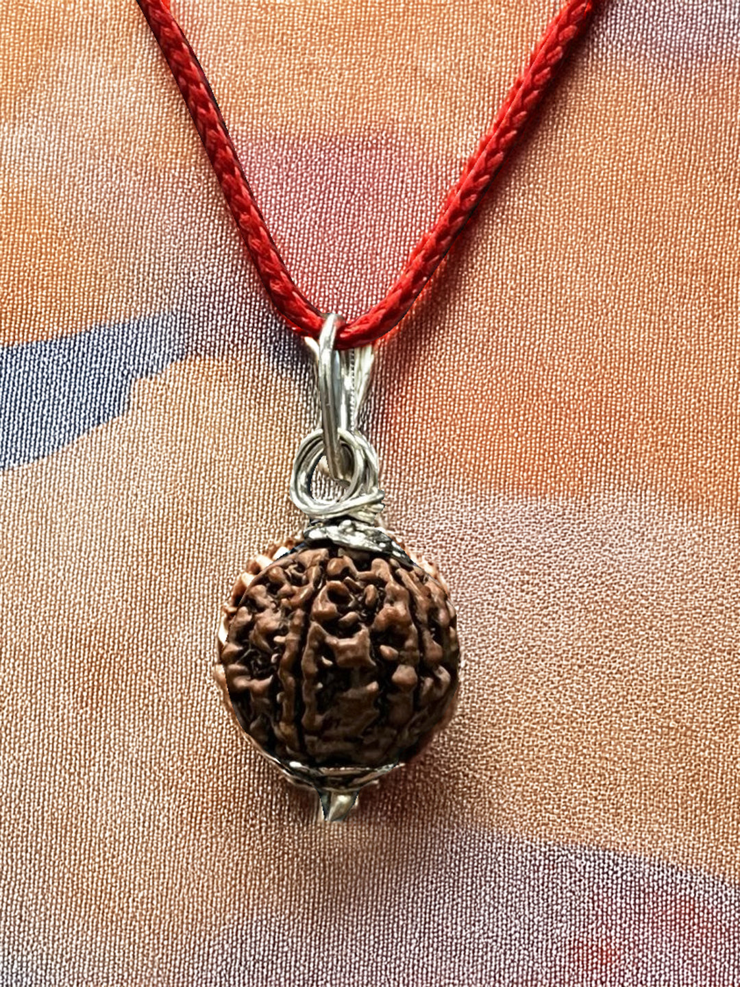 6 Mukhi Nepali Rudraksha - Chhey Mukhi - Rudrajap