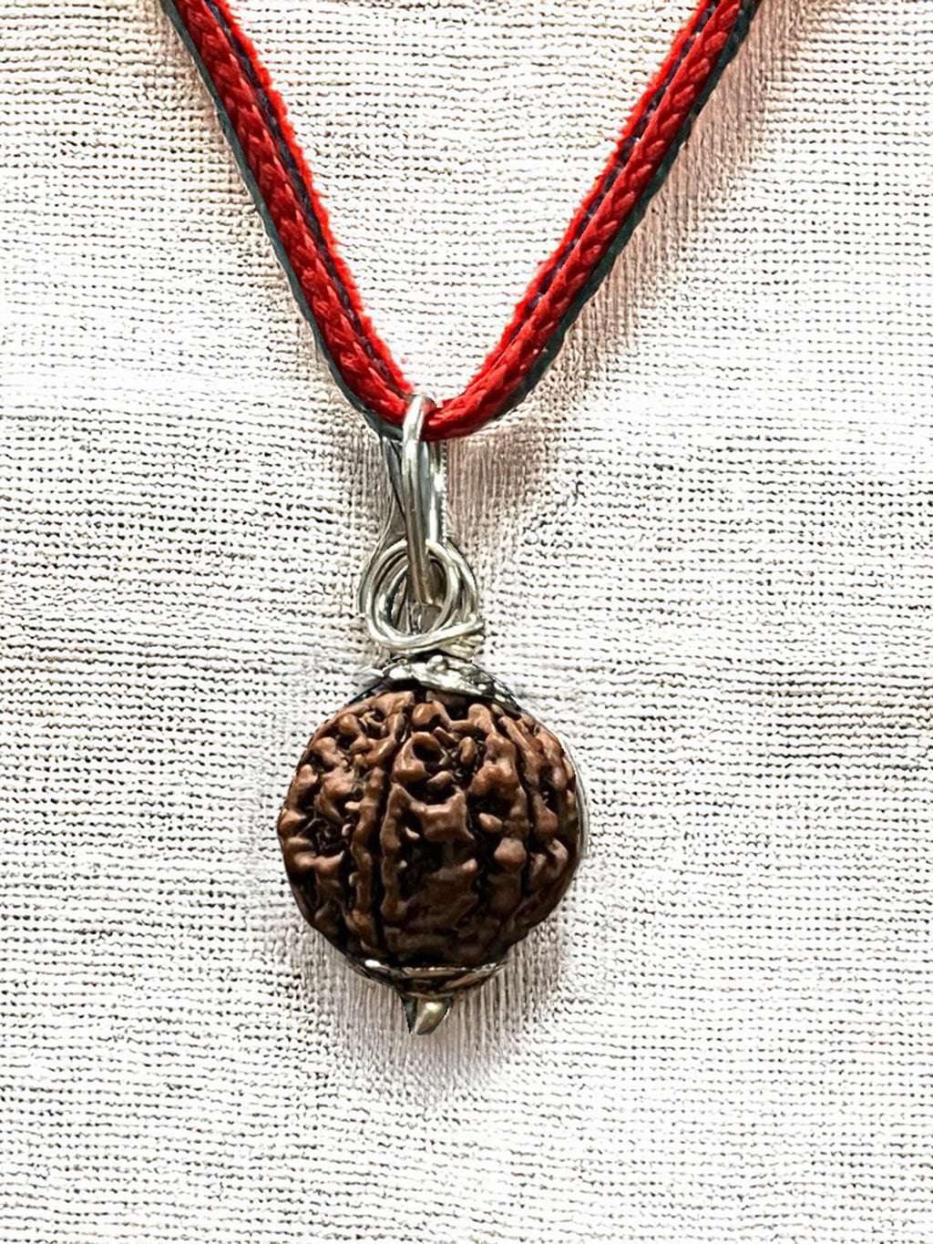 6 Mukhi Nepali Rudraksha - Chhey Mukhi - Rudrajap