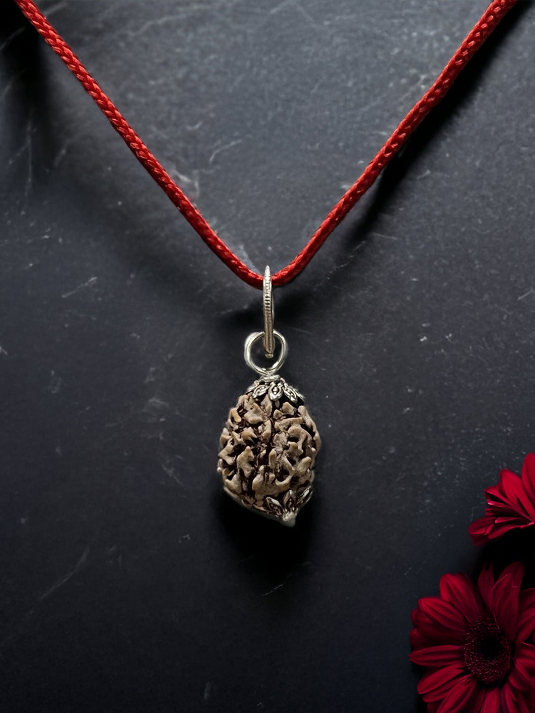 3 Mukhi Nepali Rudraksha - Teen Mukhi - Rudrajap